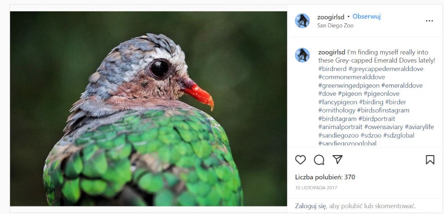 Social media monitoring - Instagram post